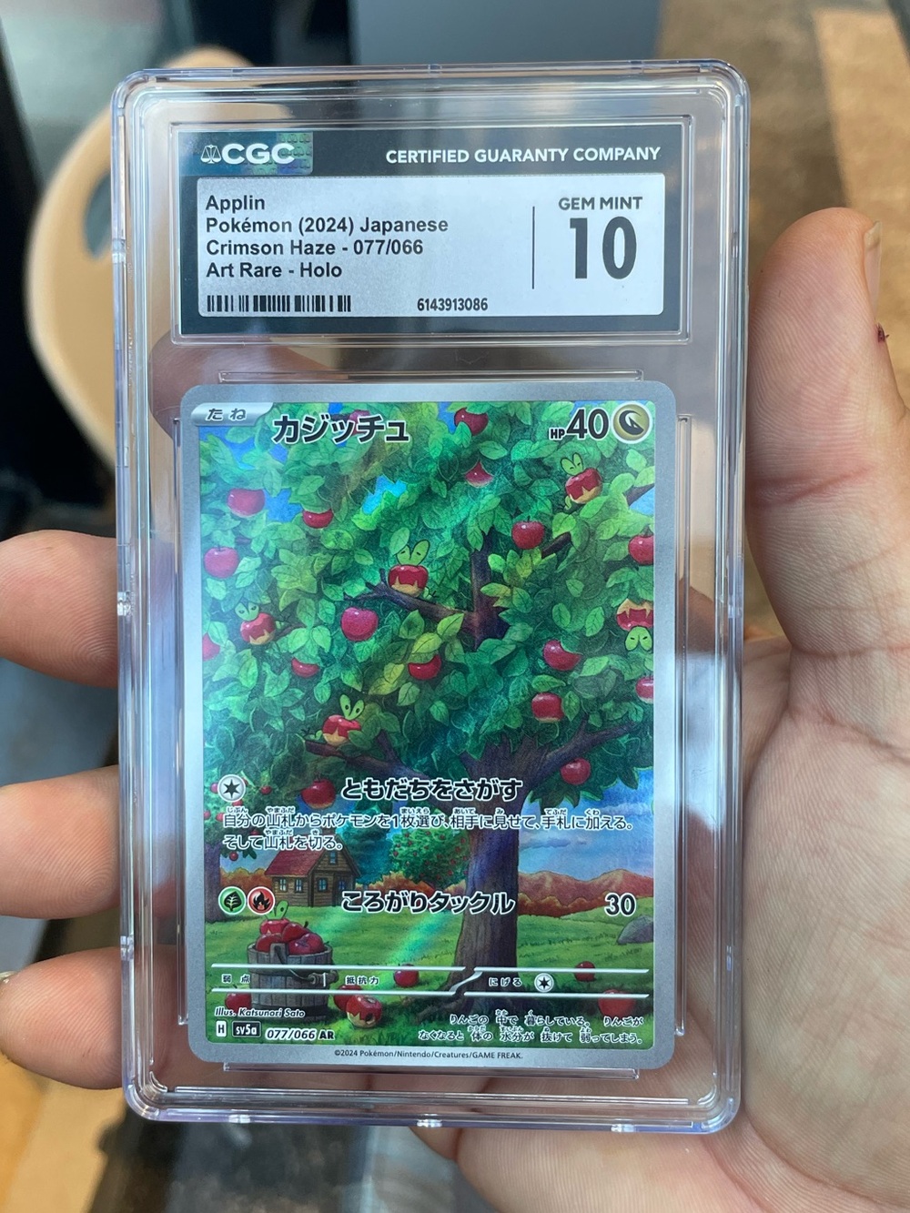 Applin Japanese Graded Pokémon Crimson Haze card